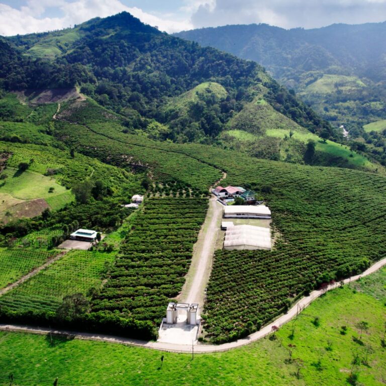 AEREA RIOALAMBI