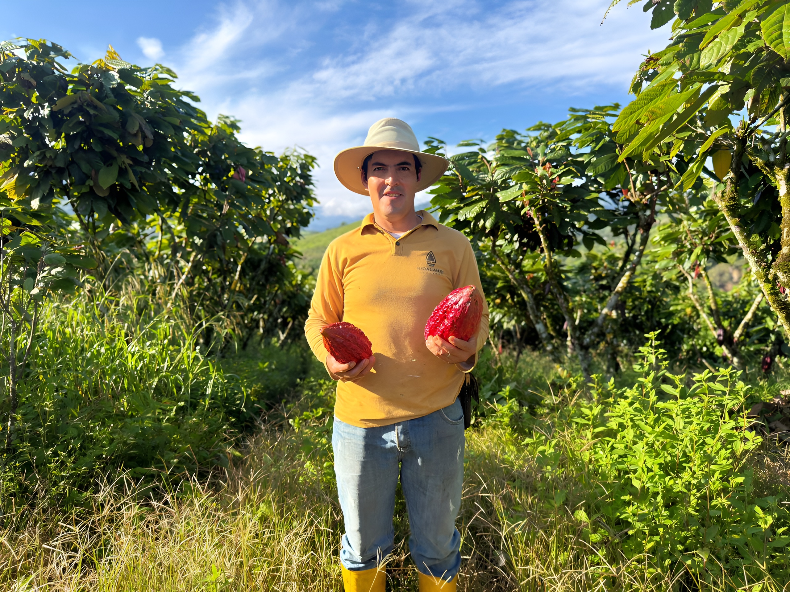 riolambi trabajador